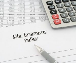 variable appreciable life insurance