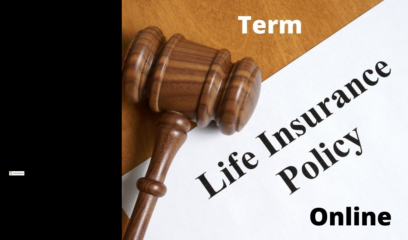 difference between term and whole life insurance